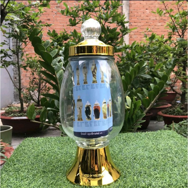 Bình ngâm rượu sâm thủy tinh CAO CẤP PHÚ HÒA 3.95 L