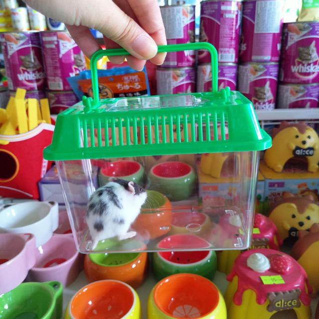 [Mã PET50K giảm Giảm 10% - Tối đa 50K đơn từ 250K] HỘP MIKA VẬN CHUYỂN HAMSTER