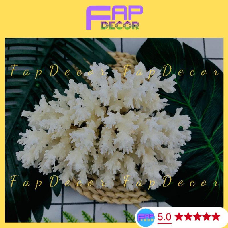 Bông Rạn Sạn Hô Nhánh Gai Trang Trí Bể Cá, Trang Trí Chụp Cảnh, Làm Đẹp Decor Phòng - FapFood