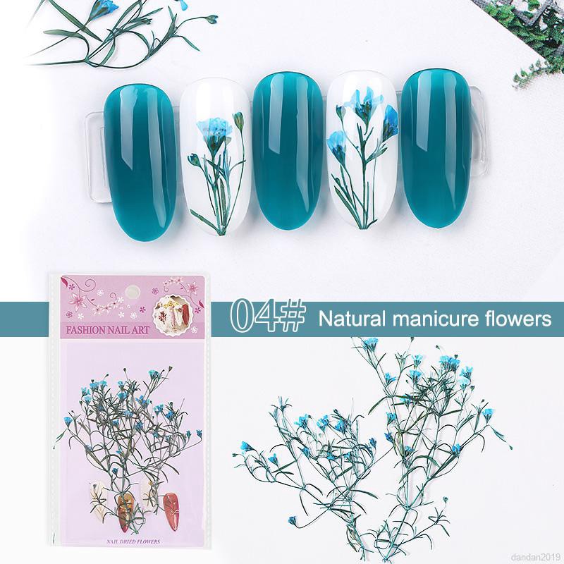 Hoa Khô 3d Đính Móng Tay Nghệ Thuật