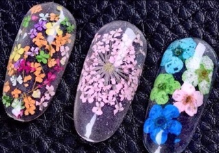 Hoa khô ẩn gel,bột