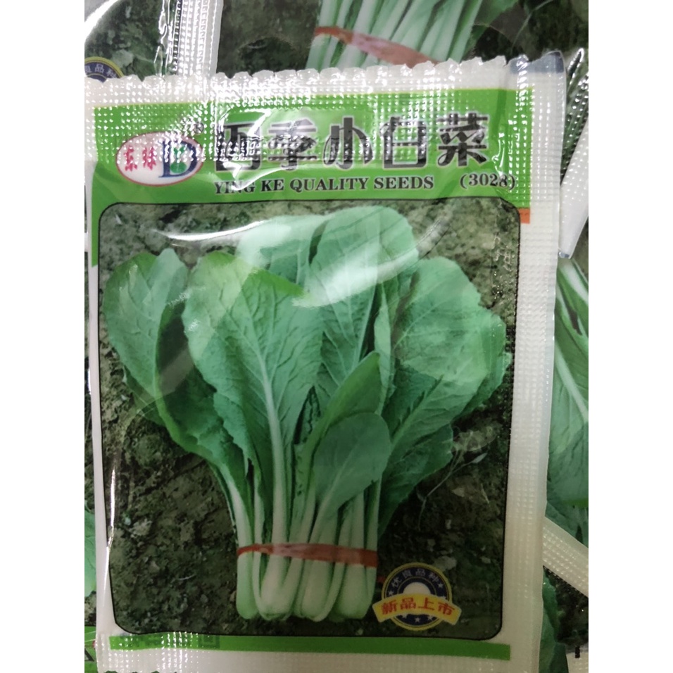 Hạt giống cải canh bốn mùa gói mini nhập khẩu đài loan