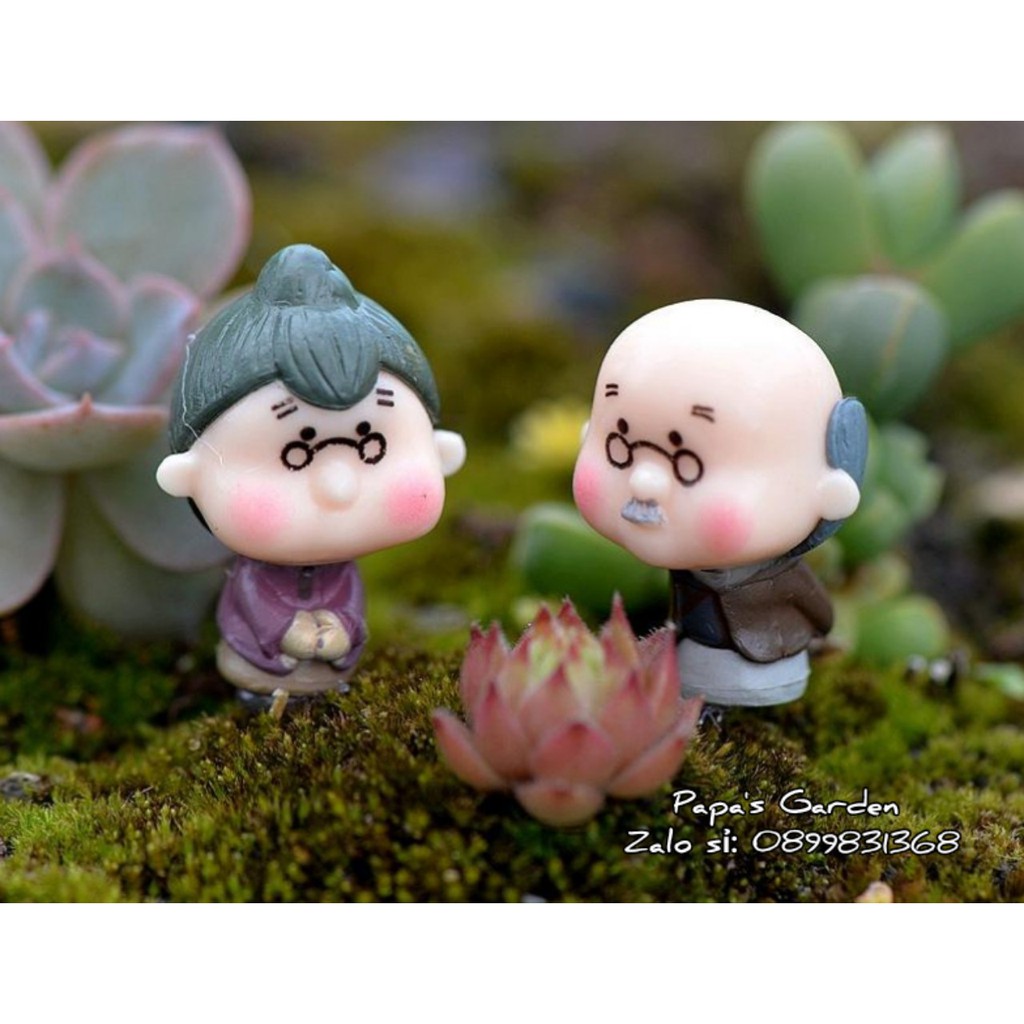 Sen đá tiểu cảnh ❤️ sen đá ❤️Cặp đôi ông bà già mini, trang trí tiểu cảnh mini, terrarium, bể cá