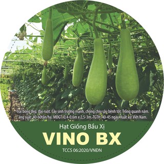 Hạt giống bầu xị VINO BX (10~100 hạt)