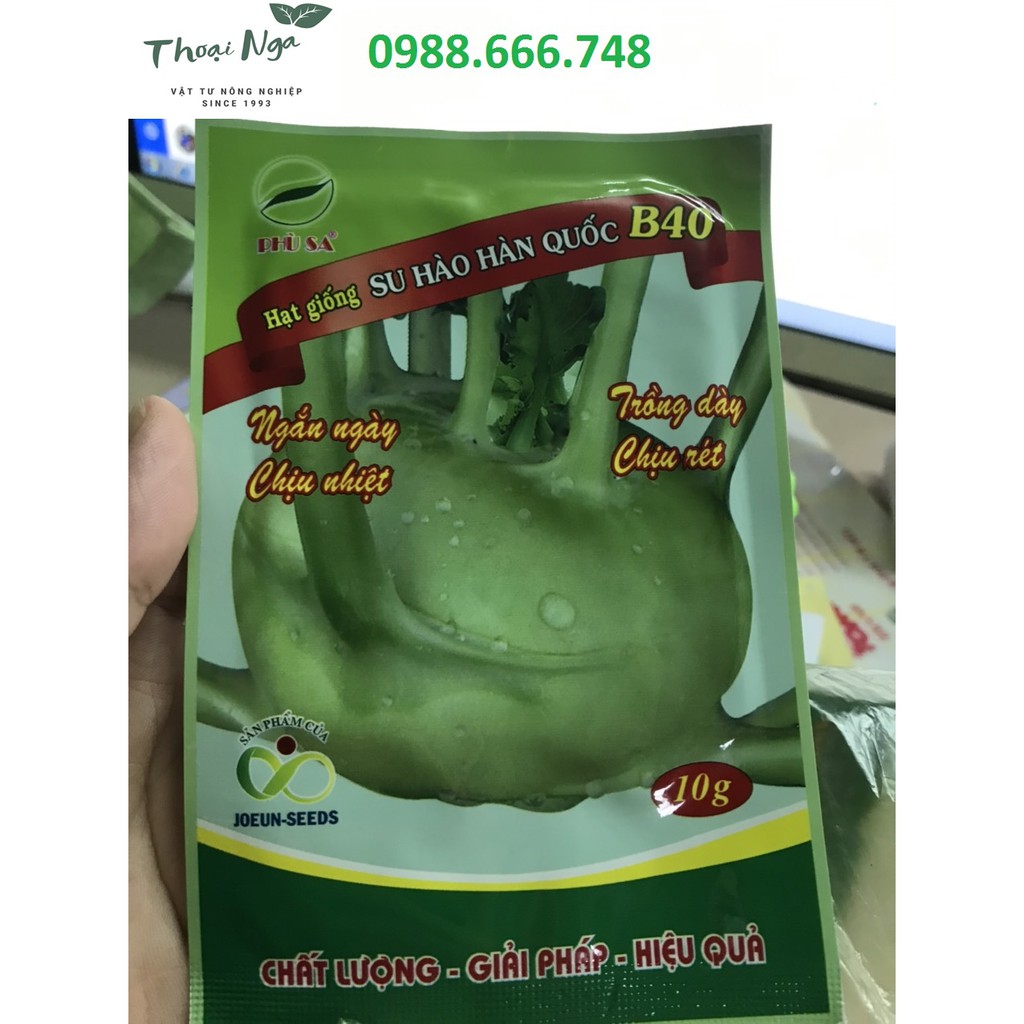 Hạt giống Su Hào Hàn Quốc B40 gói 10gr