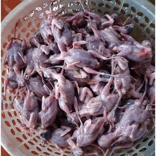 Máy Vặt Lông Chim F50