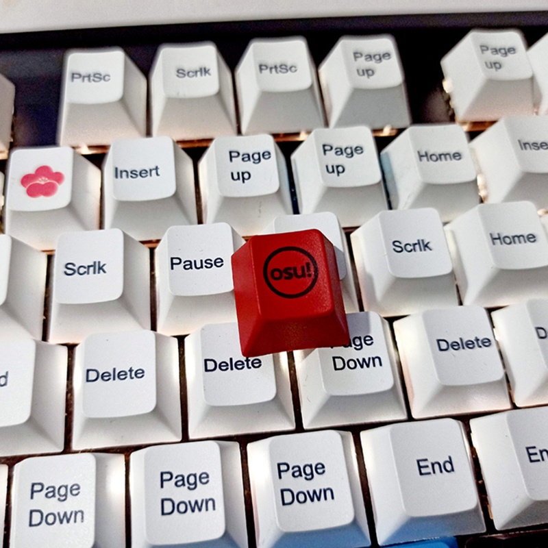 DOU 1PC Creative Keycap for Mechanical Keyboard Cherry Profile PBT Dye-sub Keycap R4