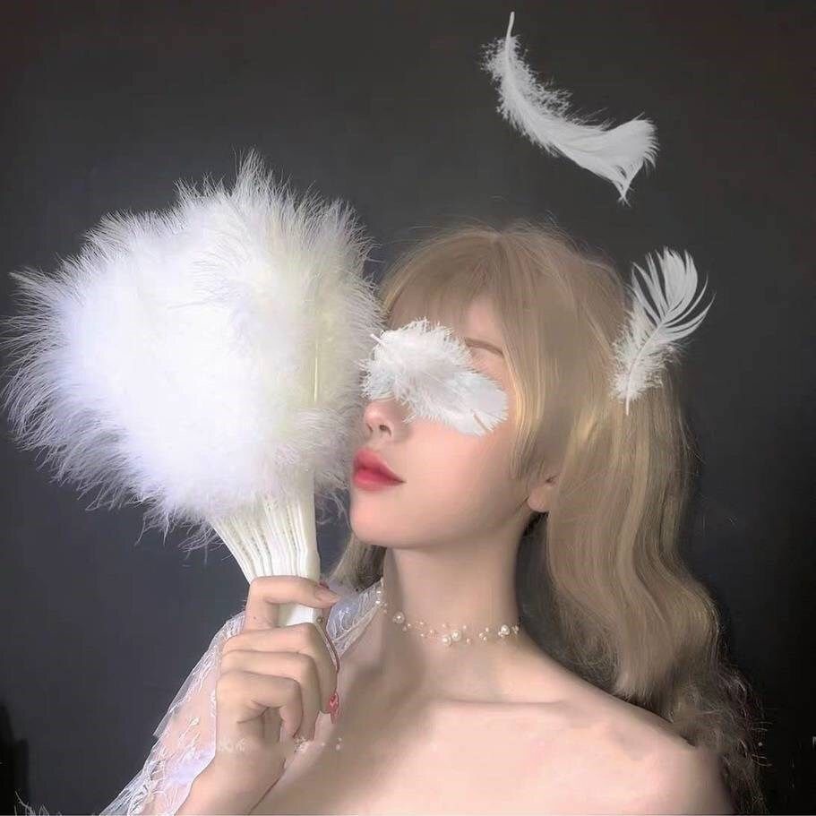 Quạt Xếp Phối Ren Phong Cách lolita Cổ Điển Dùng Làm Đạo Cụ Chụp Ảnh