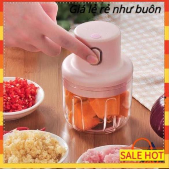 Máy xay đa năng mini cầm tay xay thịt gia vị tỏi ớt rau củ kèm dây sạc dung tích 250ml