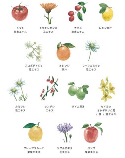 Sữa rửa mặt thảo mộc Botanical Marche Nhật
