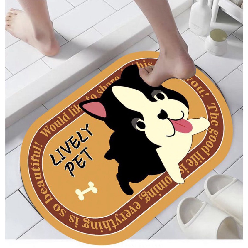 Thảm lau chân, thảm chùi chân hình ovan siêu thấm hút, chống trơn trượt mẫu mới 2022