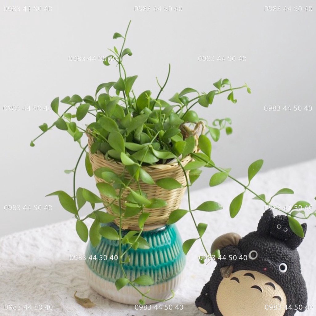 Giỏ tre (Cần xé) nhí - Phụ kiện decor, chụp hình, trang trí tiểu cảnh.