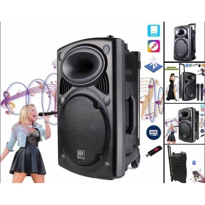 Loa Kéo Tay Karaoke Bass 30Cm. Kết Nối BLUETOOTH, USB , Thẻ Nhớ SD, AV.. Tặng 2 Micro Không Dây