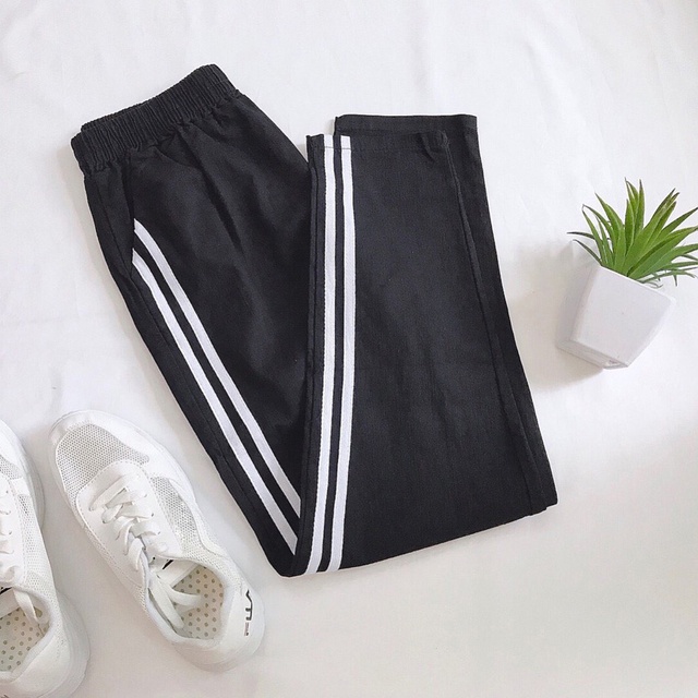 Quần Jogger thể thao không bo 2 sọc CVDP MT286