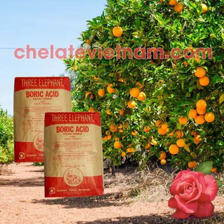 Axit Boric - Tăng khả năng đậu quả, giảm rụng trái non (gói 1kg)