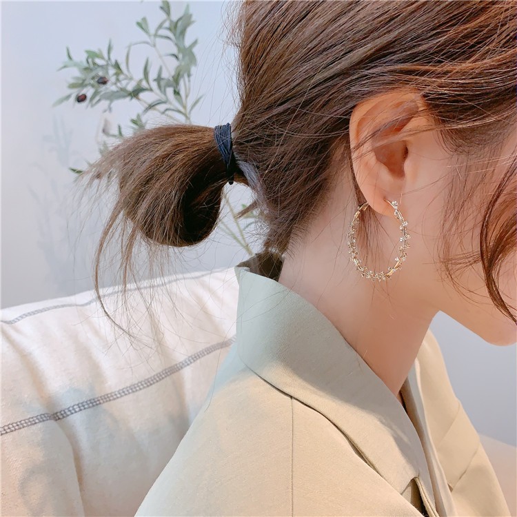Hàn Quốc Dongdaemun S925 kim bạc đơn giản hoa tai tròn kim cương kiểu Hàn Quốc hoa tai cá tính kiểu Hàn Quốc hoa tai zircon xoắn gió lạnh, câu lạc bộ đêm phóng đại phụ nữ hoa tai tròn đẹp trai mát mẻ