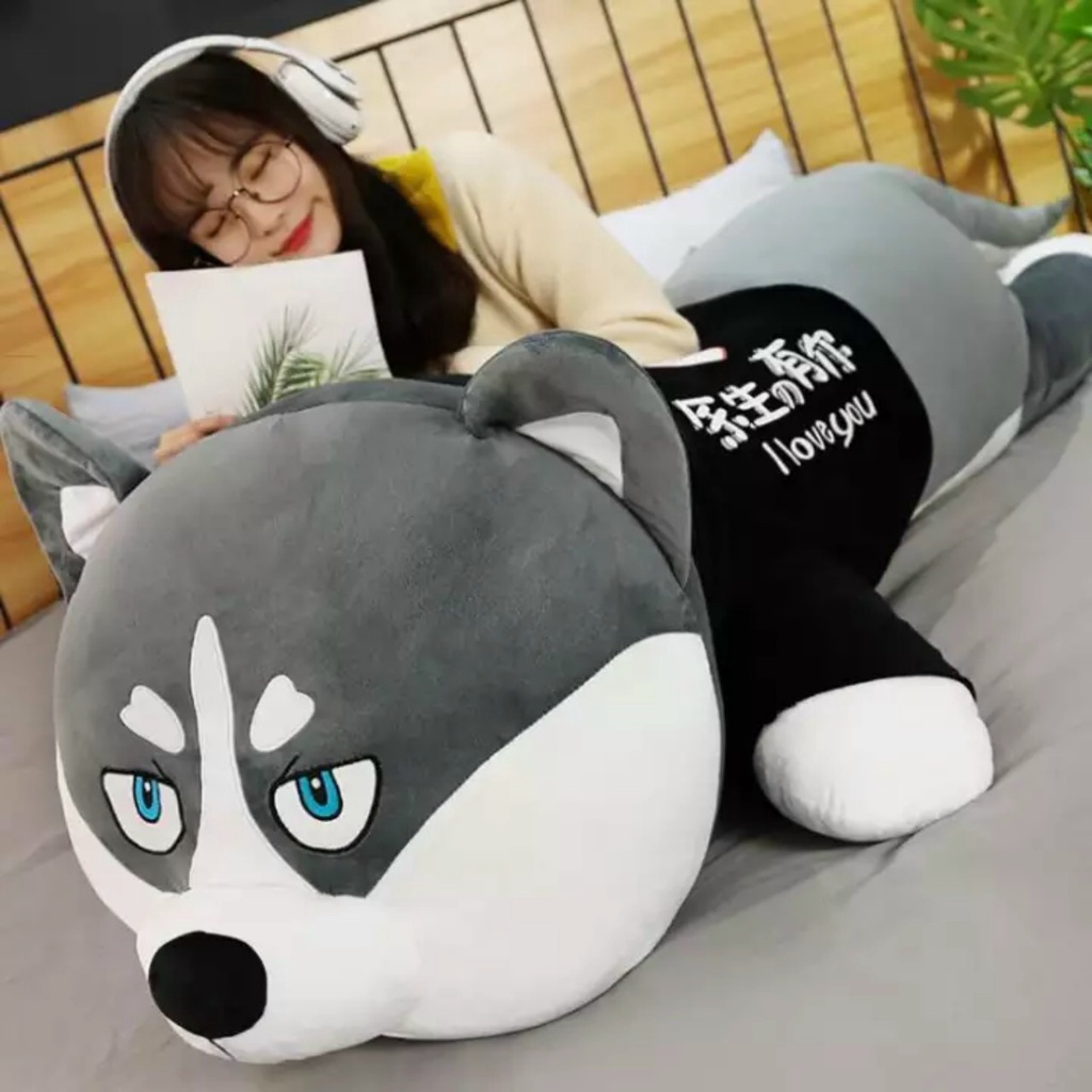 Gấu Bông Chó Husky Siêu To Khổng Lồ _ Chó Husky Siêu Mềm Mịn  tạo cảm giác thoải mái khi ôm. -  𝐁𝐔𝐍𝐍𝐘