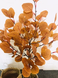 Cây bạch đàn lá vàng giả - hằng decor