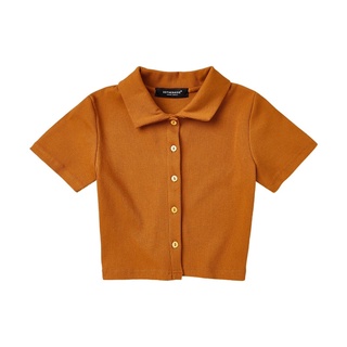 Usthebasic - Combo Croptop, Váy Brown Teddy Bear