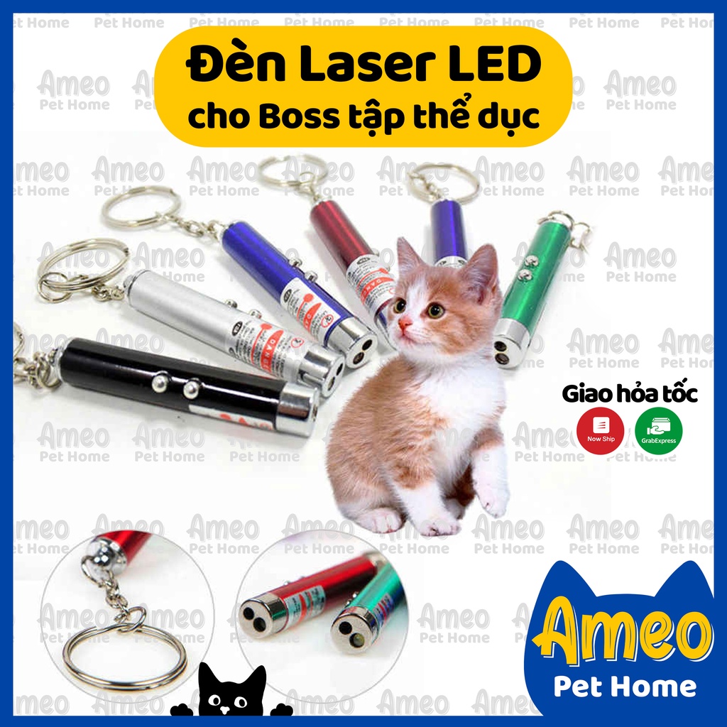 [Dòng mới] Đồ chơi cho mèo đèn laser đa năng | Đèn laze mini có nút xoay đổi hình đã kèm pin