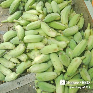 Chuối sấy giòn 500gram