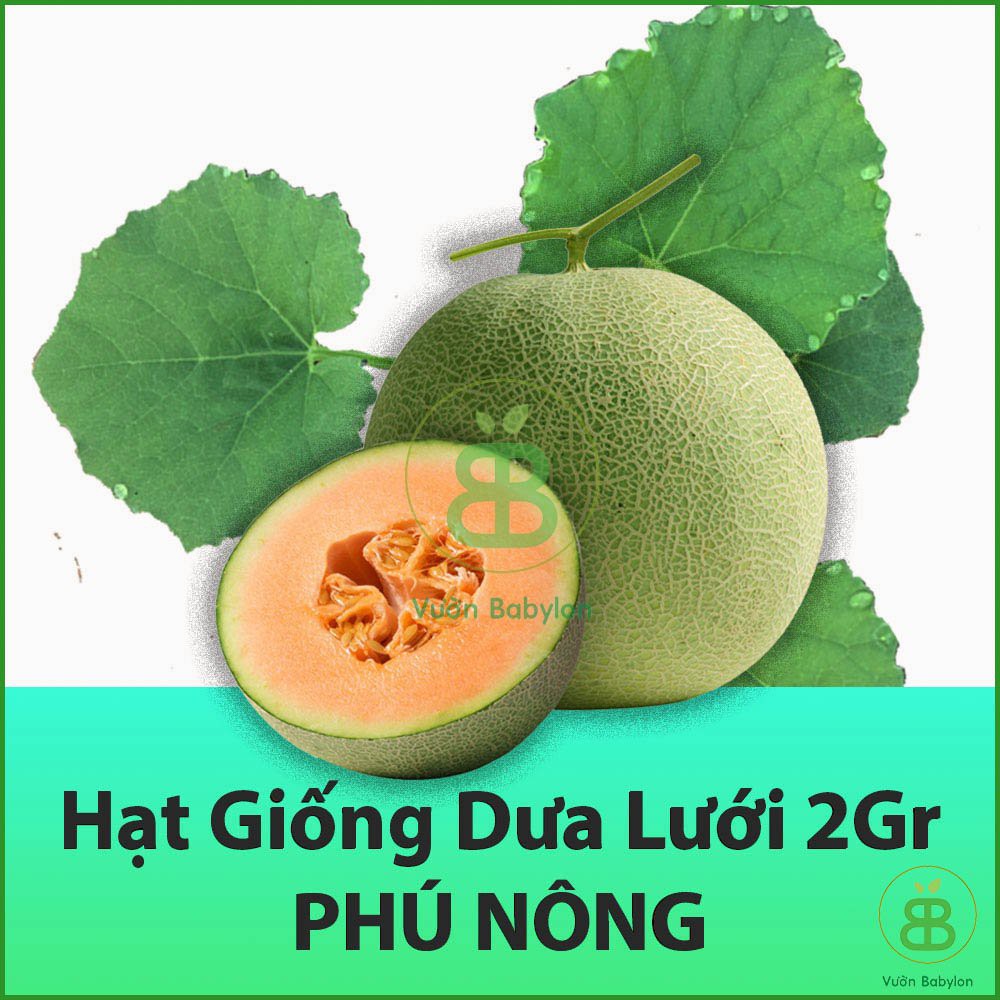 Hạt Giống Dưa Lưới 0,2Gr Ruột Vàng Loại 1