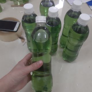 Tinh dầu tràm Huế
