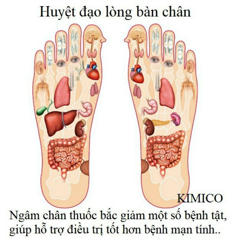 Hộp 50 Miếng - Miếng Dán Thải Độc Bàn Chân Ngải Cứu Nội Địa Trung