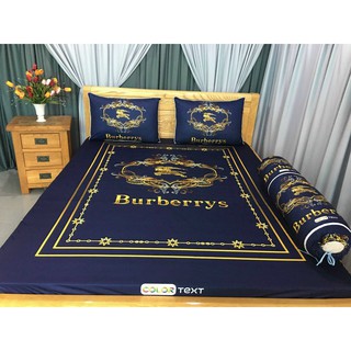Bộ drap thun lạnh 5d . ga thun lạnh 1m6/1m8. bur