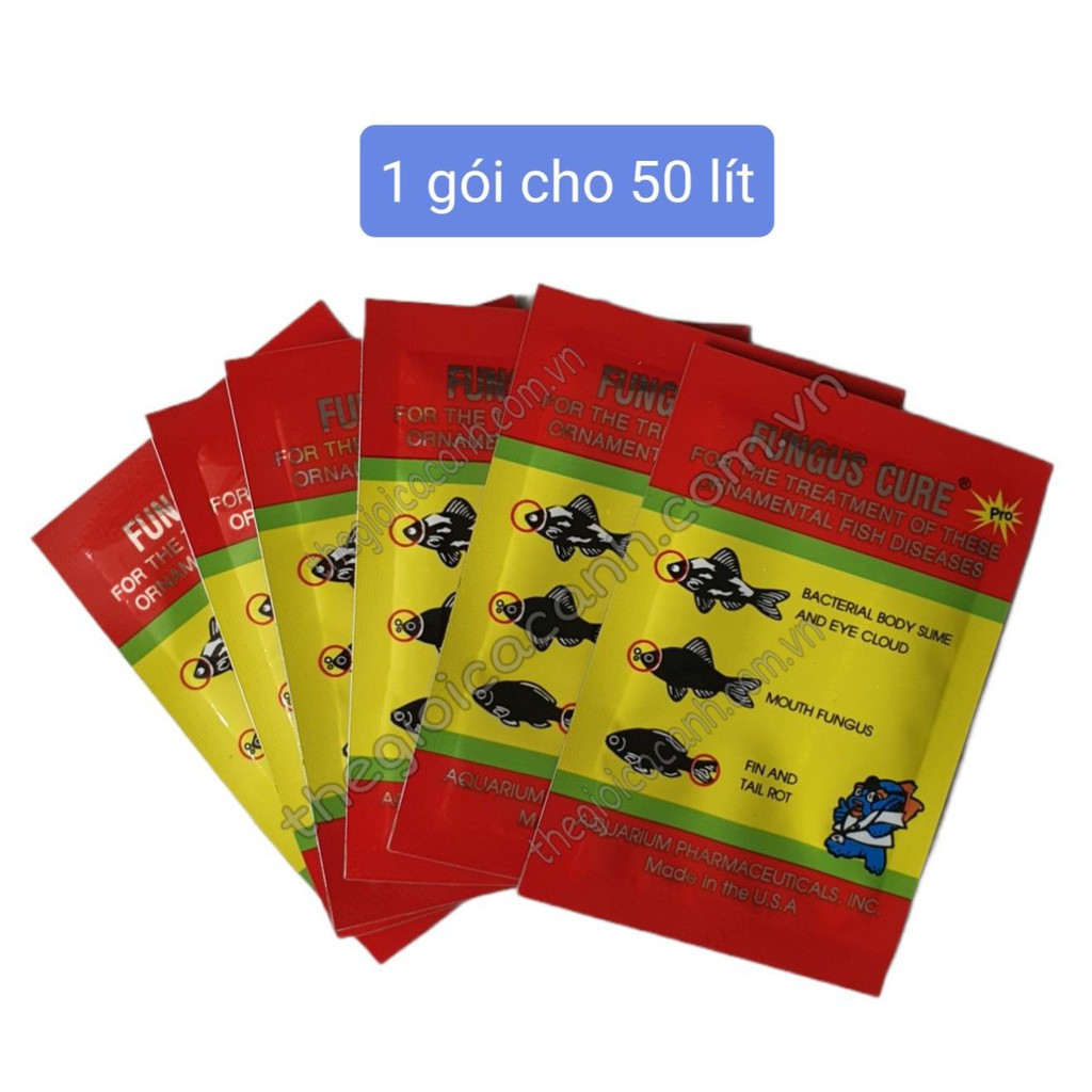Fungus Cure tri benh cá nhiễm khuẩn nấm đục mắt thối rữa vây và đuôi