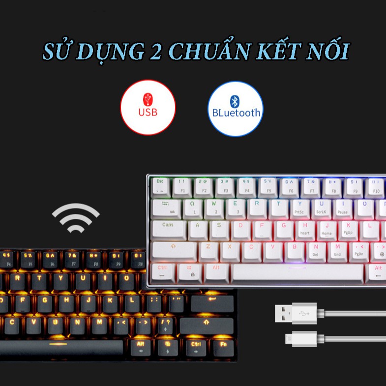 [ NEW ] TẶNG USB 2.4G - Bàn phím cơ không dây Royal Kludge RK61 Bluetooth 61 phím kết nối 2 chế độ pin sạc 750mAh | BigBuy360 - bigbuy360.vn