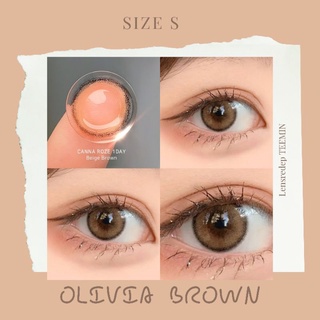 Lens Olivia brown - nâu / mini