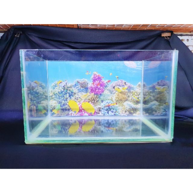 BỂ CÁ 29X18X18CM KÍNH DÀY 5 LY KHÔNG KIỀNG DÁN TRANH SẴN
