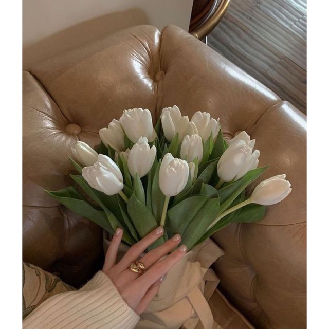 Bạn đang tìm kiếm một set hoa tulip trắng với giá cực kỳ hấp dẫn? Hãy không ngần ngại nhấp chuột vào để sở hữu một bó hoa tulip trắng đơn giản nhưng lại vô cùng sang trọng cho căn nhà của bạn.