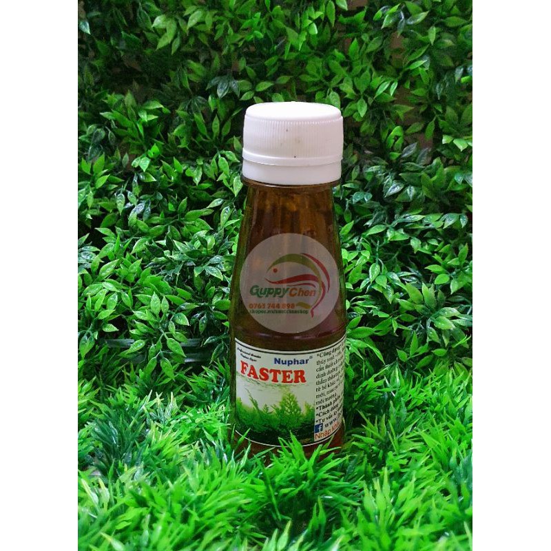 Phân nước kích rễ faster cho hồ thủy sinh