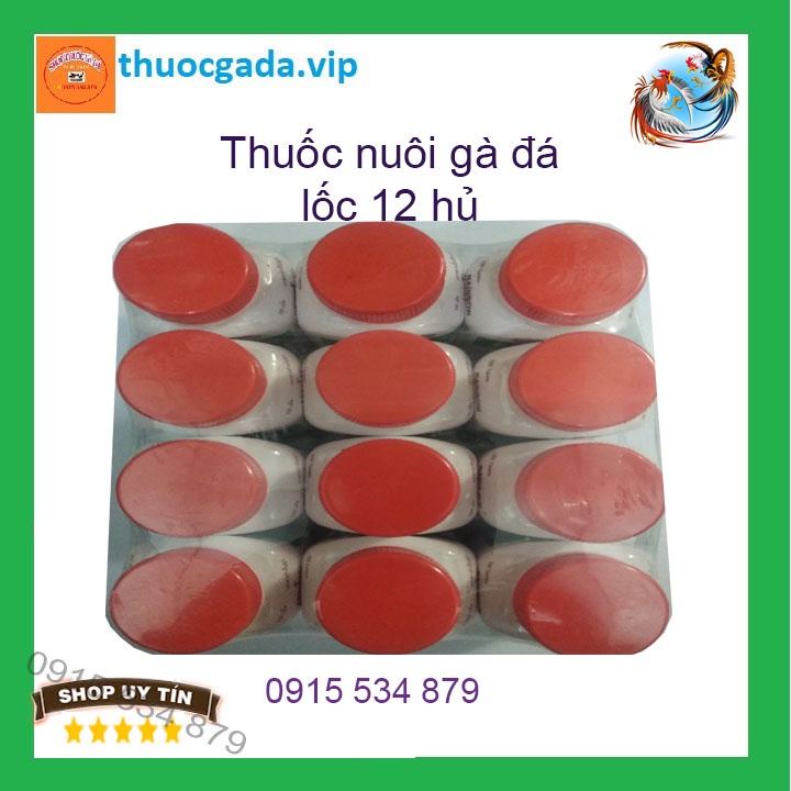 Rainbow nuôi gà đá lốc 12 hủ