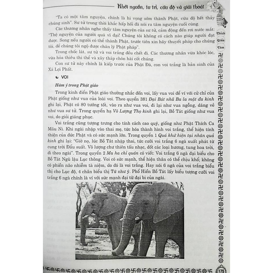 Sách - Phật Học Tinh Hoa: Khởi Nguồn, Tu Trì, Cứu Độ Gigabook | BigBuy360 - bigbuy360.vn