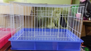 Lồng nuôi vẹt non size to