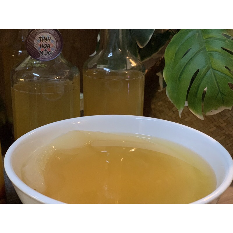 Scoby kèm nước mồi làm được 3 lít trà kombucha