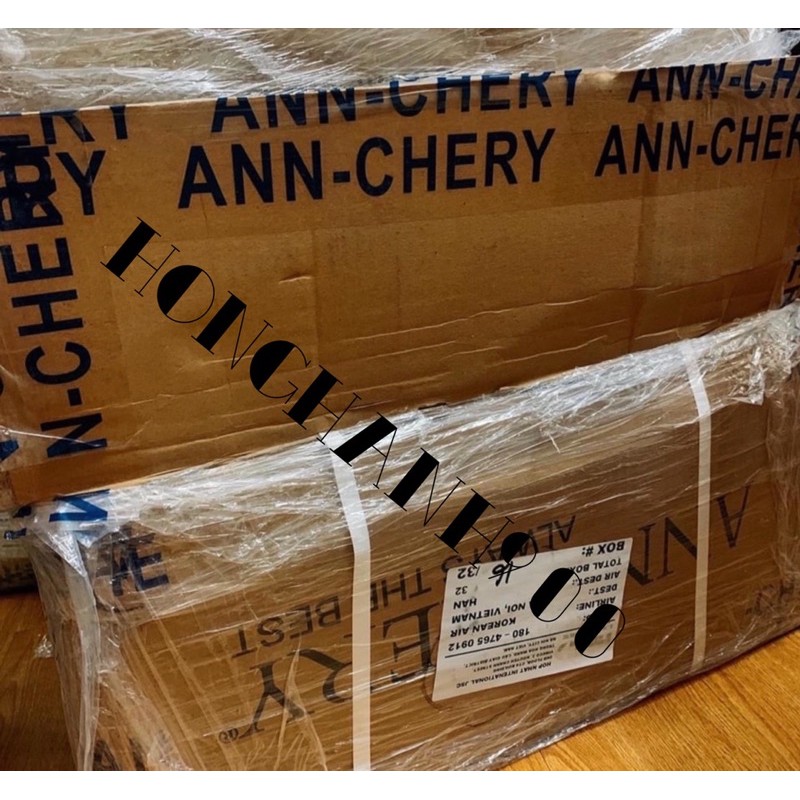 ĐAI NỊT BỤNG ANN CHERY 2038 AUTH