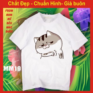 áo thun mèo cat ami bụng bự m19,chất đẹp, bao đổi TRẢ