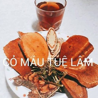 1kg cây cỏ máu tuệ lâm