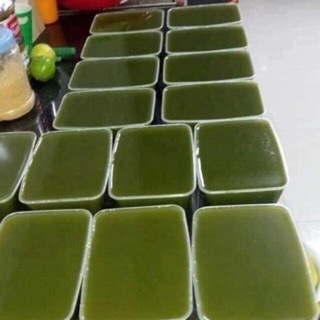 Bột thạch lá găng(100gr)