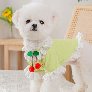 Áo thun dễ thương cho thú cưng