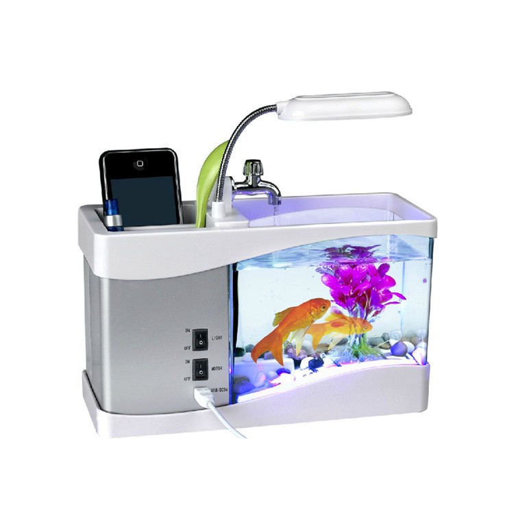 Bể Cá Mini Để Bàn Siêu Dễ Thương + Đồng Hồ