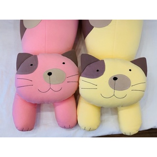 Doll mèo trung Hikosen cara