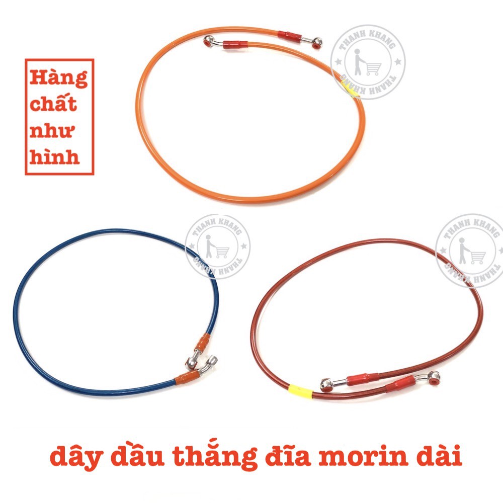 dây dầu thắng đĩa màu morin thanh khang