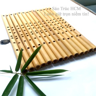 Sáo dọc HCM8