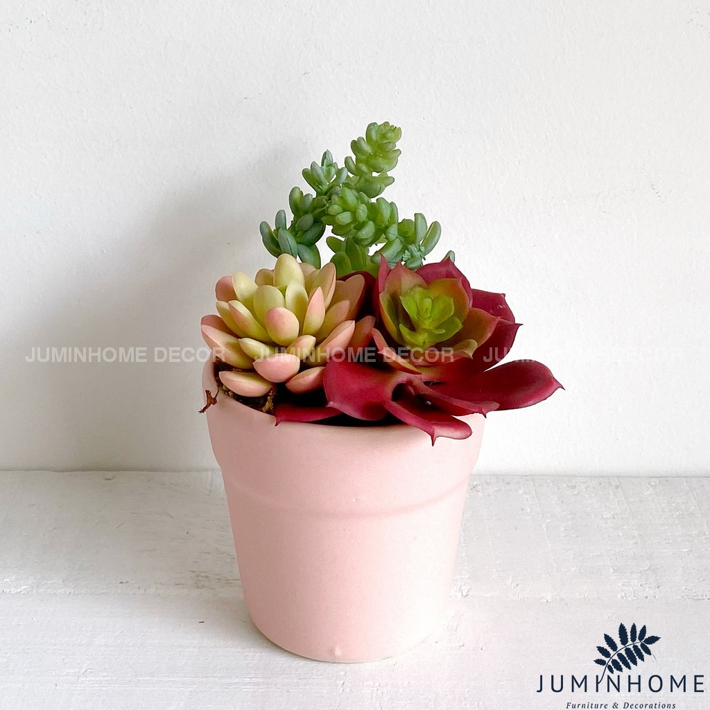 Cây giả Decor - Chậu cây mini Decor Trang trí để bàn