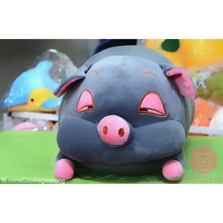 Gấu bông bé heo hí mơ màng 50cm